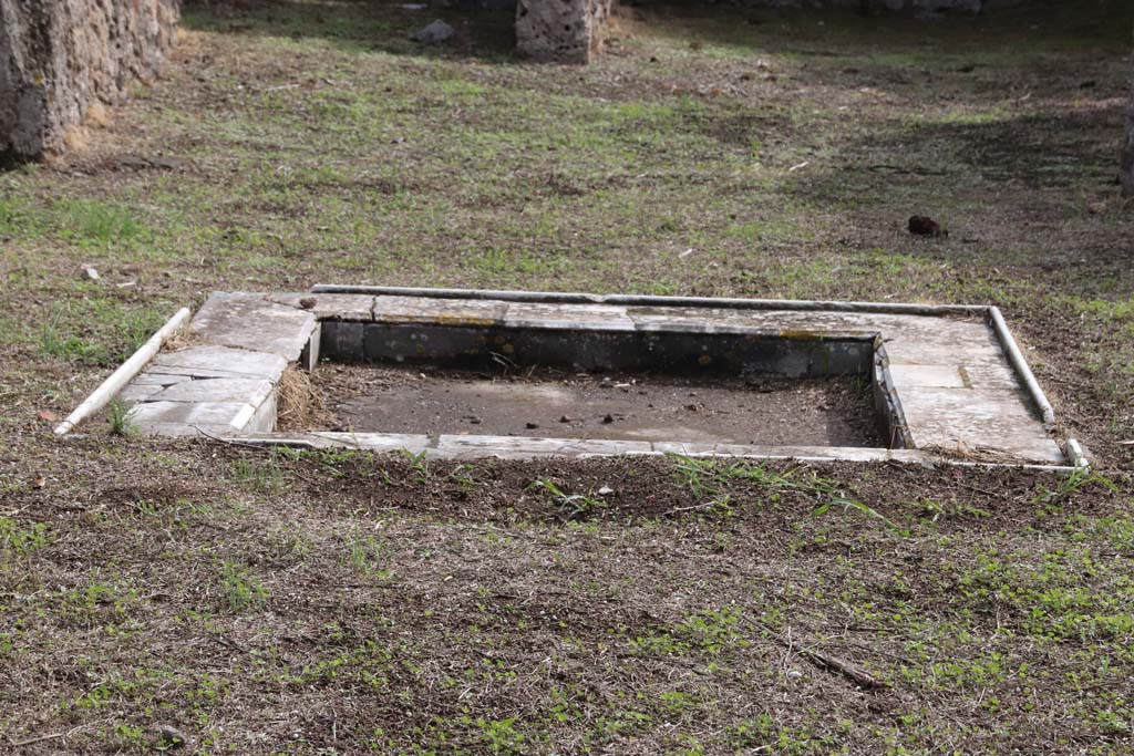VII.3.6 Pompeii. October 2020. Looking south across impluvium in atrium. Photo courtesy of Klaus Heese.