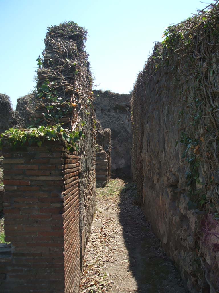 VII.3.8 Pompeii. May 2005. Looking south along corridor “b” to rear.
According to Boyce, against the west wall of the central area “c” of the dwelling house stood a masonry altar.
An arched niche was in the wall above the altar.
See Boyce G. K., 1937. Corpus of the Lararia of Pompeii. Rome: MAAR 14. (p.63-4, Pl.12,1)
