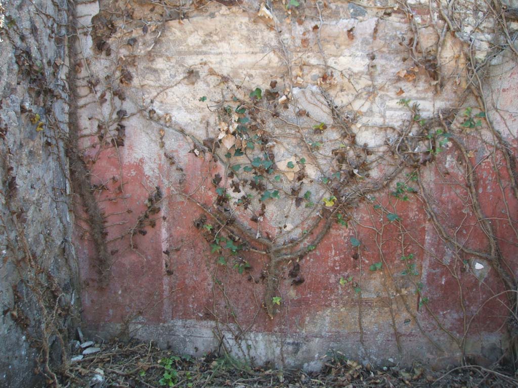 VII.3.8 Pompeii. May 2005. Detail of remaining painted red plaster from south wall of cubiculum “d”.