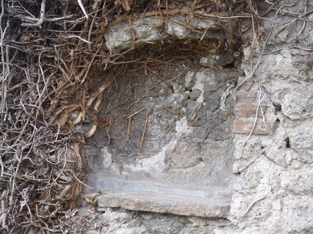 VII.3.8 Pompeii. December 2007. Niche in west wall of shop. According to Boyce, this was an arched niche.
See Boyce G. K., 1937. Corpus of the Lararia of Pompeii. Rome: MAAR 14. (p. 63, no: 260A)