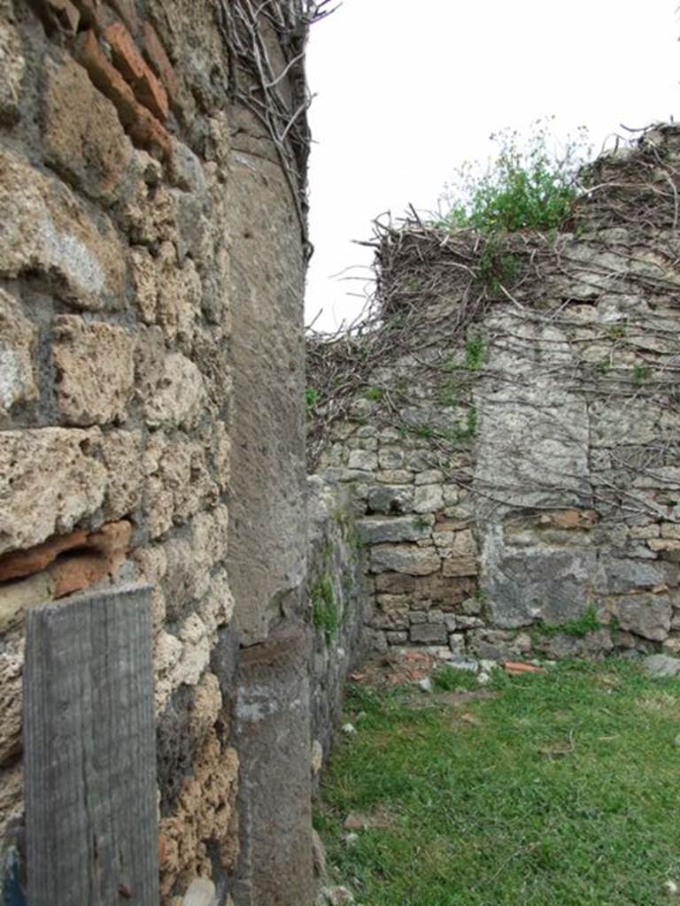 VII.3.11 Pompeii. March 2009. East side of North wall of atrium, with second Tufa column.