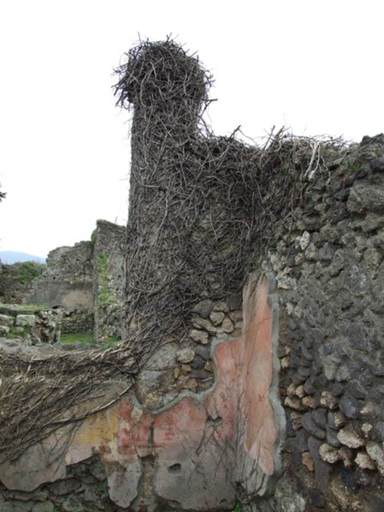 VII.3.12 Pompeii. March 2009.
South-west corner of rear room, with tufa column in north wall of atrium of VII.13.11.