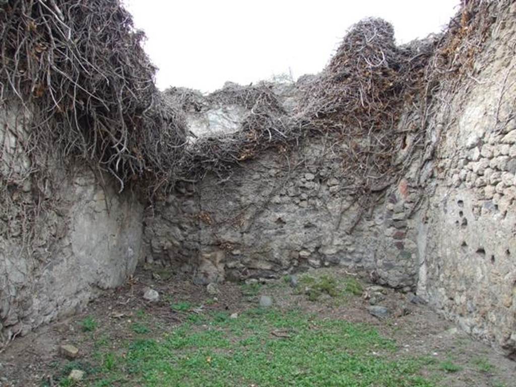 VII.3.19 Pompeii. Shop. December 2007. West wall.