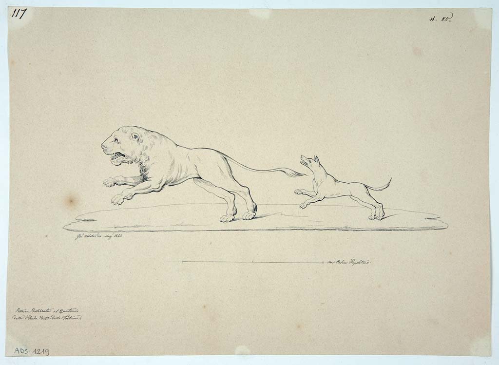 VII.3.21 Pompeii. Drawing by Giuseppe Abbate, May 1844, probably one of the hunting scenes.
Now in Naples Archaeological Museum. Inventory number ADS 1219.
Photo © ICCD. https://www.catalogo.beniculturali.it
Utilizzabili alle condizioni della licenza Attribuzione - Non commerciale - Condividi allo stesso modo 2.5 Italia (CC BY-NC-SA 2.5 IT)