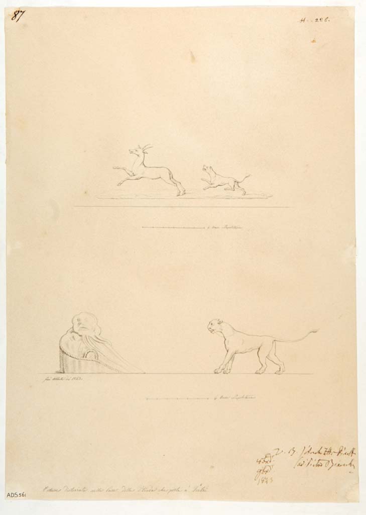 VII.3.21 Pompeii. Drawing by Giuseppe Abbate, 1843, of various scenes from the panels of the vaulted ceiling.
Now in Naples Archaeological Museum. Inventory number ADS 561.
Photo © ICCD. http://www.catalogo.beniculturali.it
Utilizzabili alle condizioni della licenza Attribuzione - Non commerciale - Condividi allo stesso modo 2.5 Italia (CC BY-NC-SA 2.5 IT)