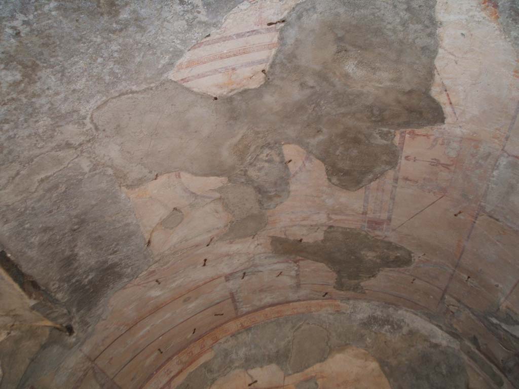 VII.3.21 Pompeii. May 2005. Vaulted ceiling in triclinium.