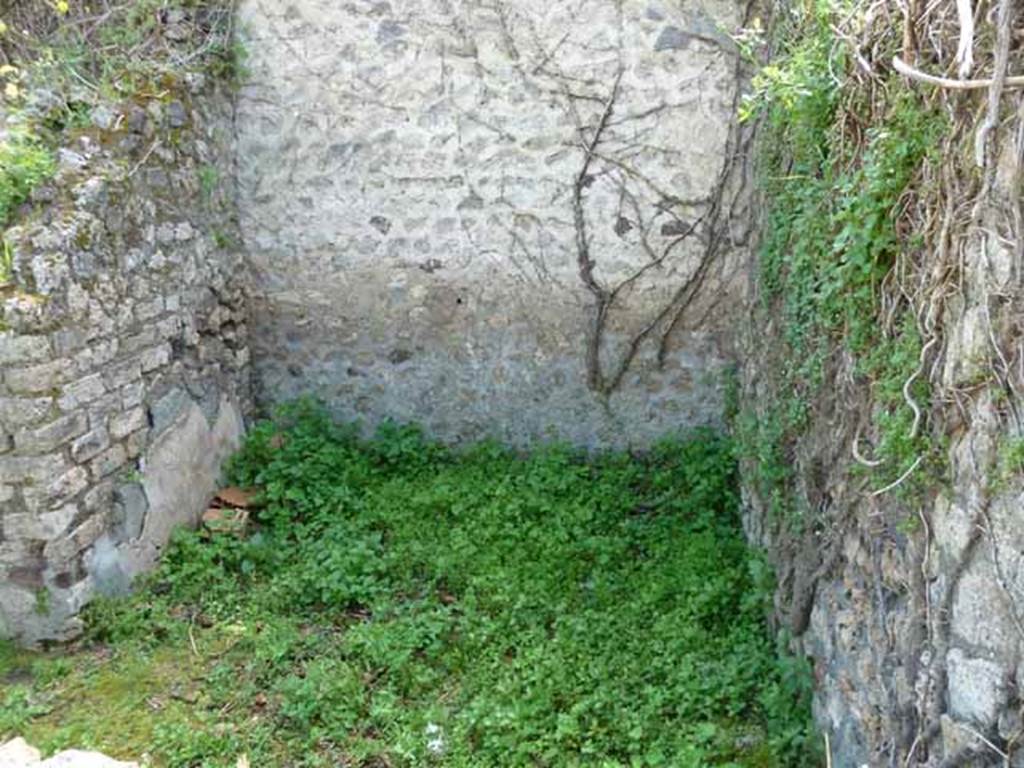 VII.3.23 Pompeii. May 2010. South wall of rear room of shop.