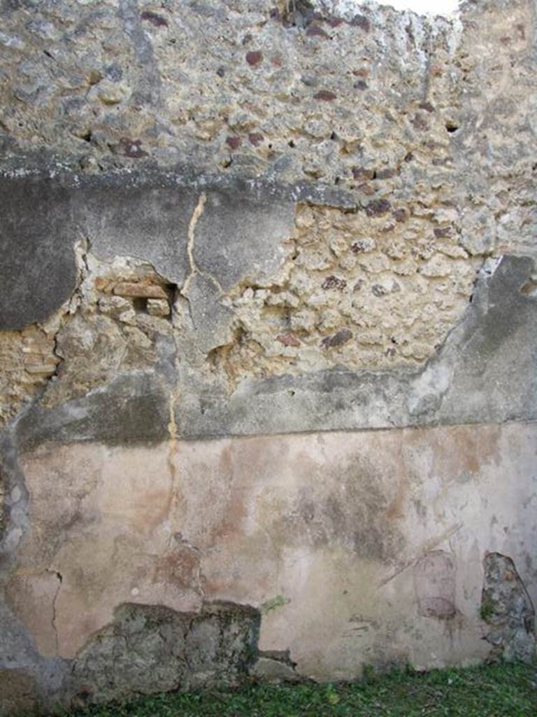 VII.3.29 Pompeii. March 2009. Room 4. West wall.