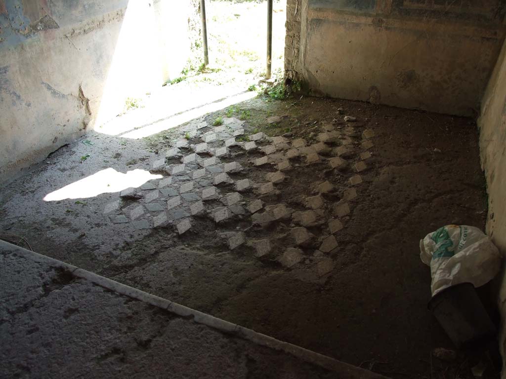 VII.3.29 Pompeii. March 2009. Room 10, looking south across floor of cubiculum.