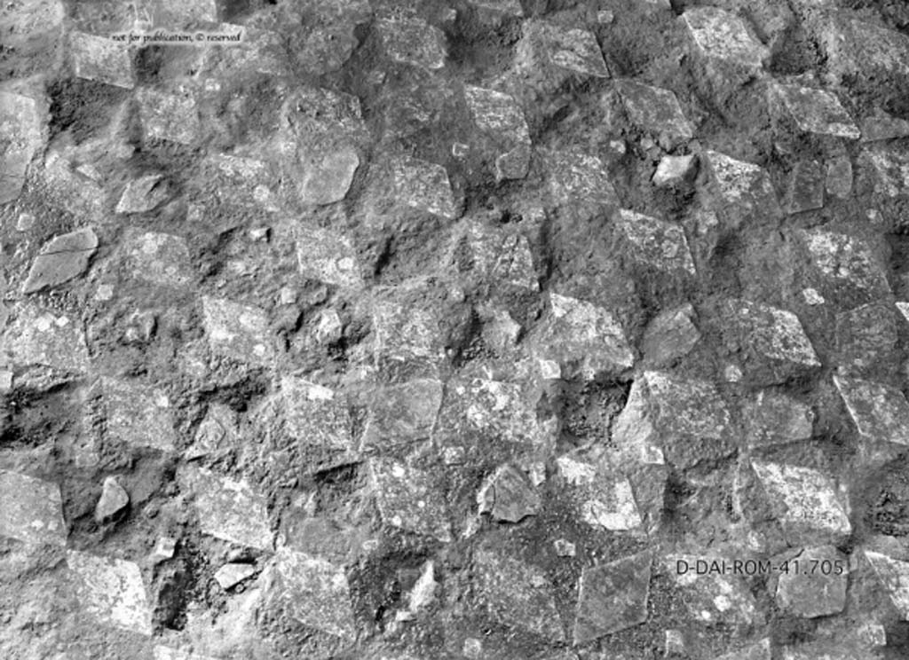 VII.3.29 Pompeii. c.1930. Room 10, cubiculum floor.
DAIR 41.705. Photo © Deutsches Archäologisches Institut, Abteilung Rom, Arkiv.
See Pernice, E. 1938. Pavimente und Figürliche Mosaiken: Die Hellenistische Kunst in Pompeji, Band VI. Berlin: de Gruyter, (described as from cubiculum “m”, see tav. 34,6, above.)