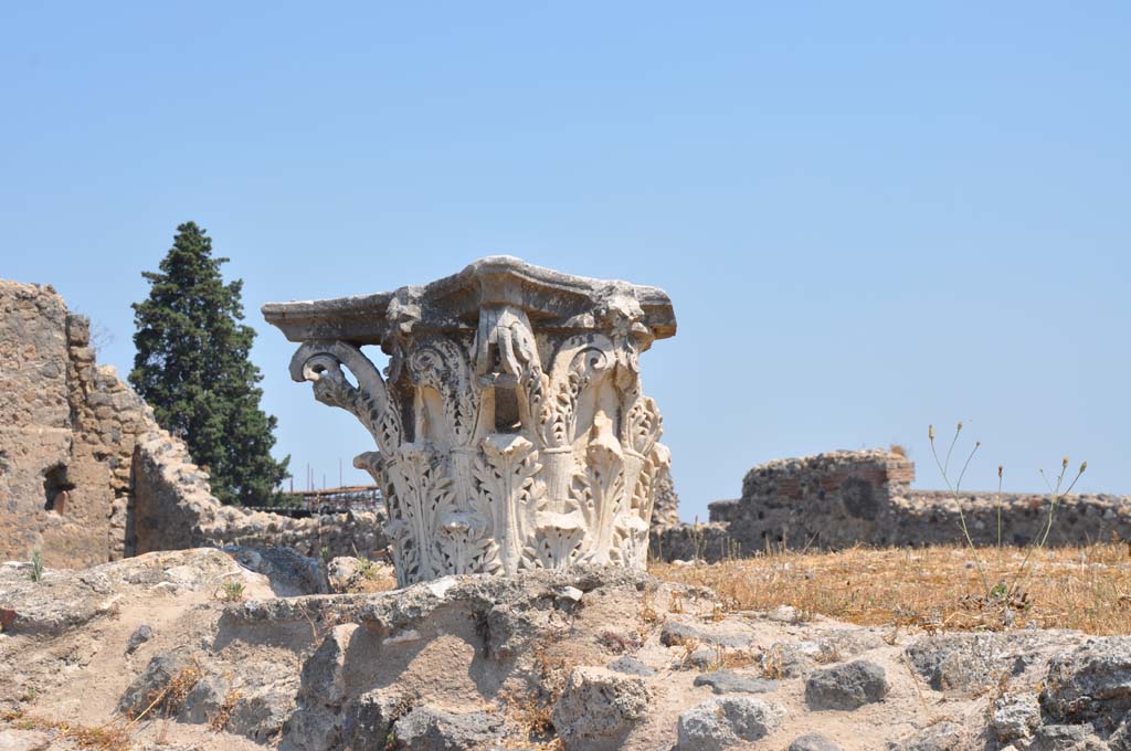 VII.4.1, Pompeii. July 2017. Capital on upper podium/portico.
Foto Anne Kleineberg, ERC Grant 681269 DÉCOR.