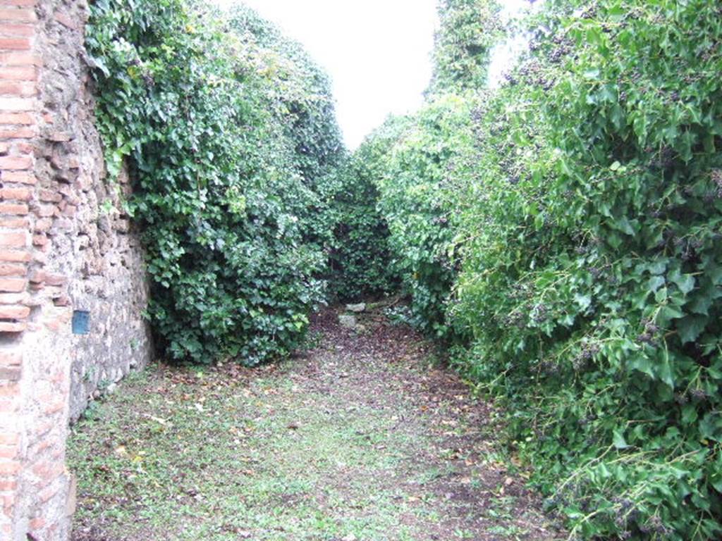 VII.4.28 Pompeii. December 2005. Entrance, looking north across shop.