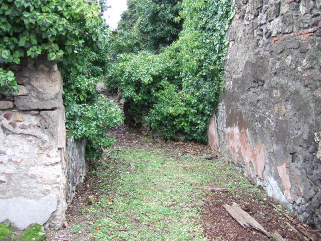 VII.4.29 Pompeii. December 2005. Looking north.