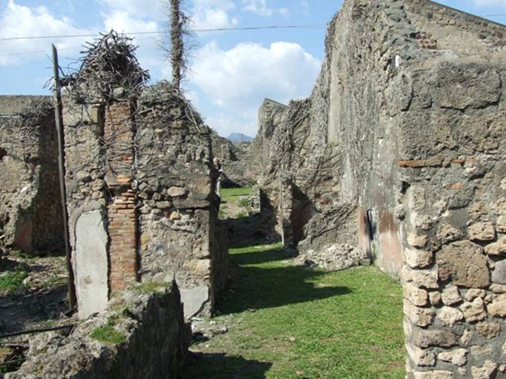 VII.4.29 Pompeii. March 2009. Looking north from rear of shop.