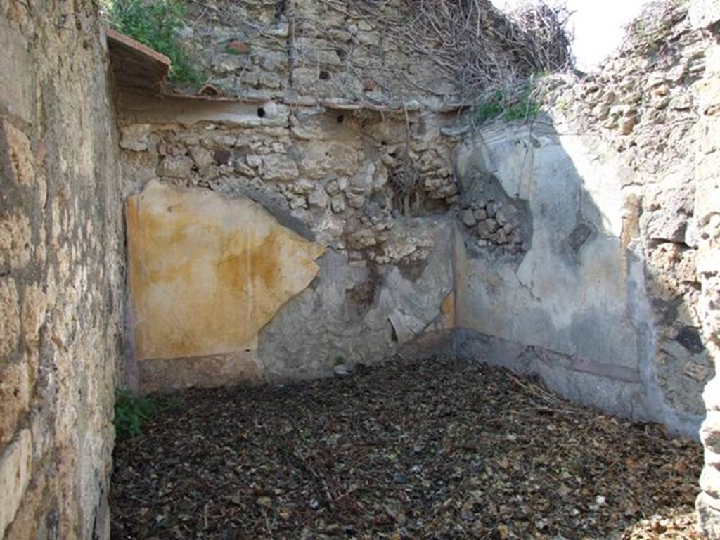 VII.4.29 Pompeii. March 2009. Remains of painted plaster in room on north west side of small courtyard or garden.
