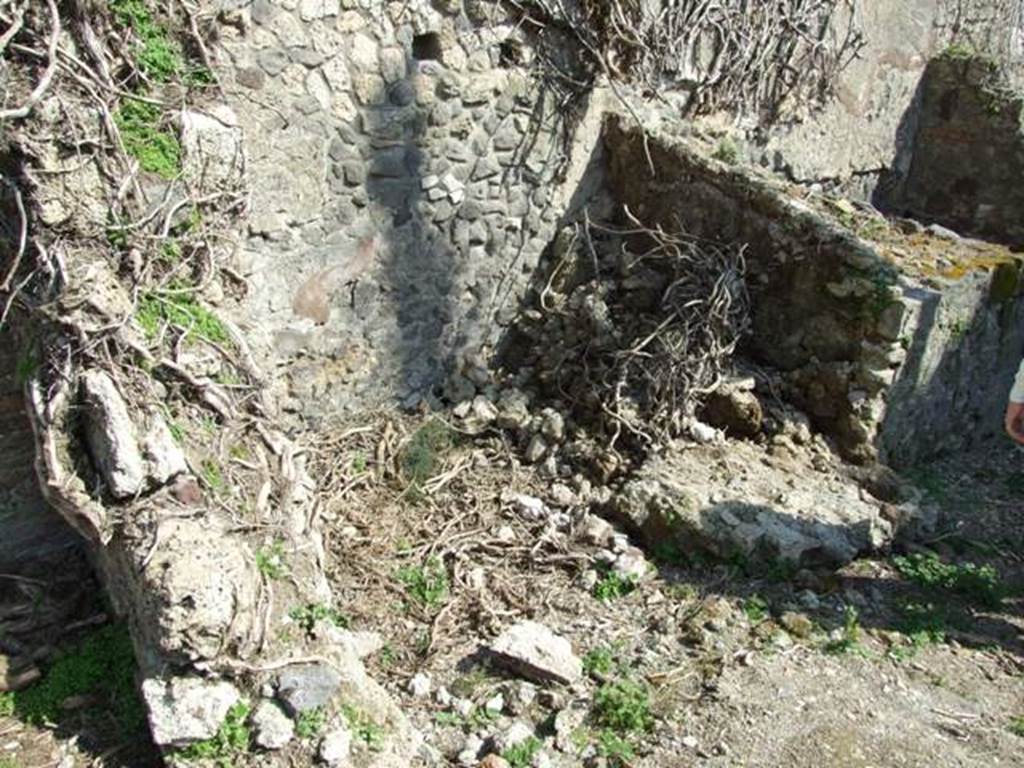 VII.4.29 Pompeii. March 2009. Remains on east side or corridor.