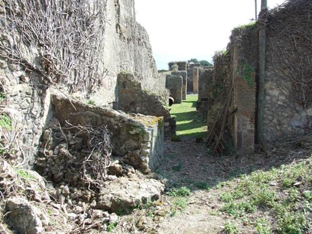 VII.4.29 Pompeii. March 2009. Looking south from rear boundary.