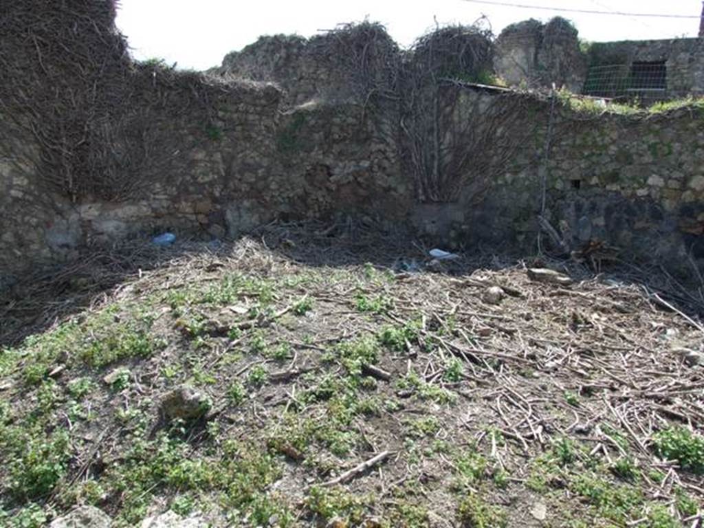 VII.4.29 Pompeii. March 2009. Remains of yard? on west side at rear.