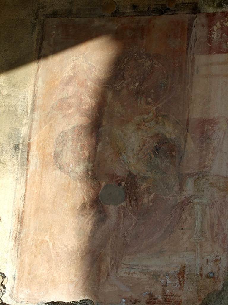 VII.4.31/51 Pompeii. March 2009.
Room 29, remains of wall painting of Leda and the Swan.