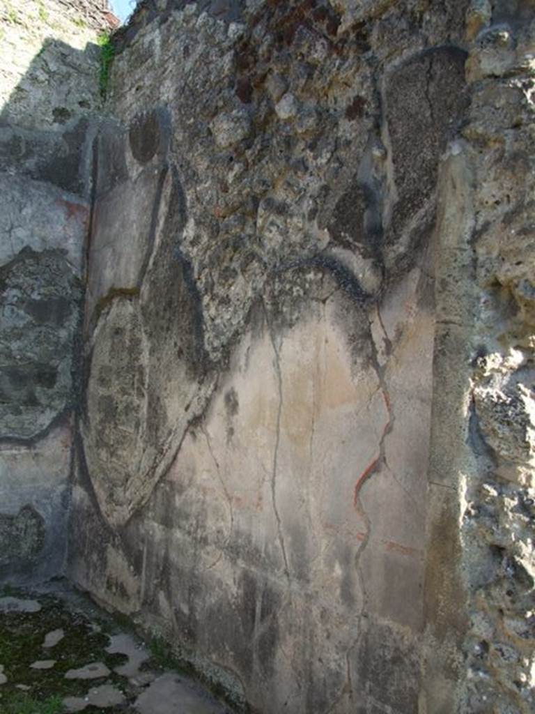 VII.4.31 Pompeii. March 2009. Room 31. South wall.