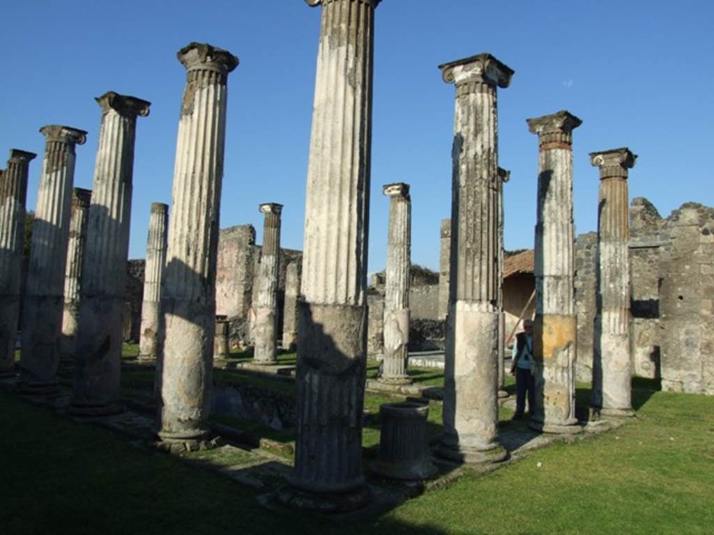 VII.4.31 Pompeii. March 2009. Middle Peristyle. Looking north east.