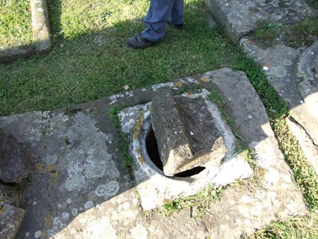 VII.4.31 Pompeii. March 2009. Cistern mouth.