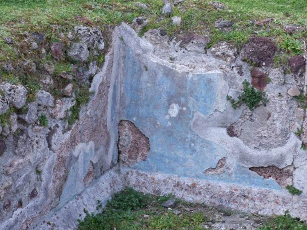 VII.4.31 Pompeii. March 2009. Middle Peristyle. Remains of blue walls in the fish pool.