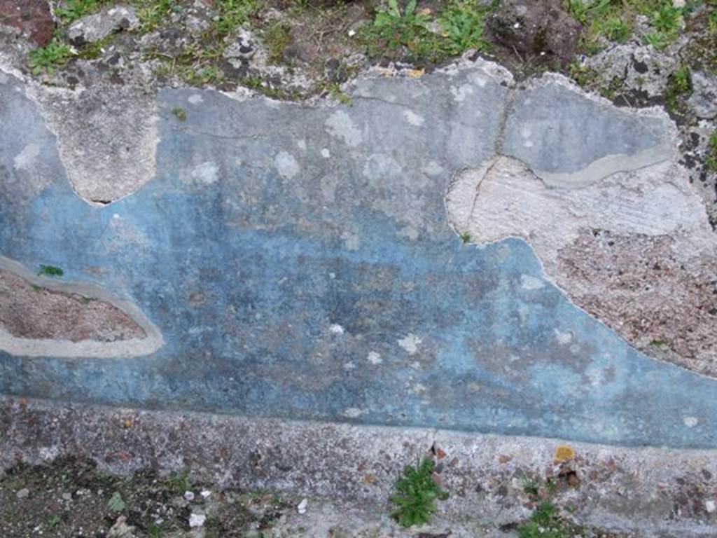 VII.4.31 Pompeii. March 2009. Middle Peristyle. Remains of blue walls in the fish pool.