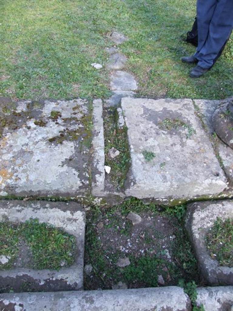 VII.4.31 Pompeii. March 2009. Middle Peristyle. Edge of portico floor, looking east.