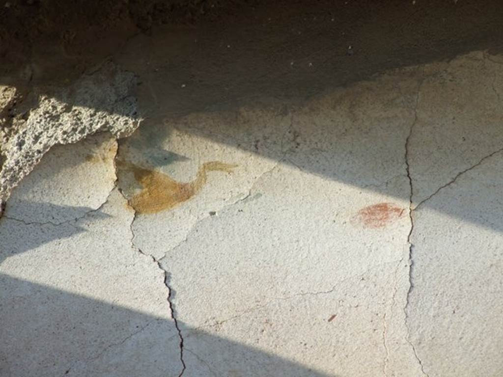 VII.4.31 Pompeii. March 2009. Room 33. Remains of painted decoration of a bird (swan?) on North wall.