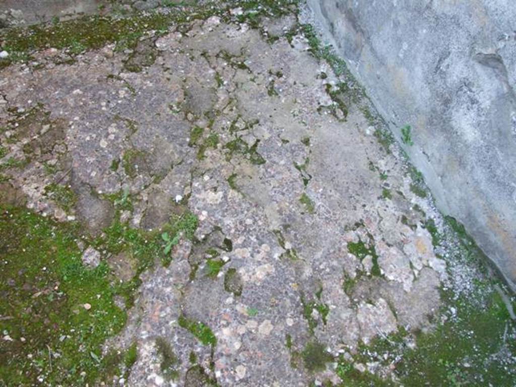 VII.4.31 Pompeii. March 2009. Room 35. Remains of floor.