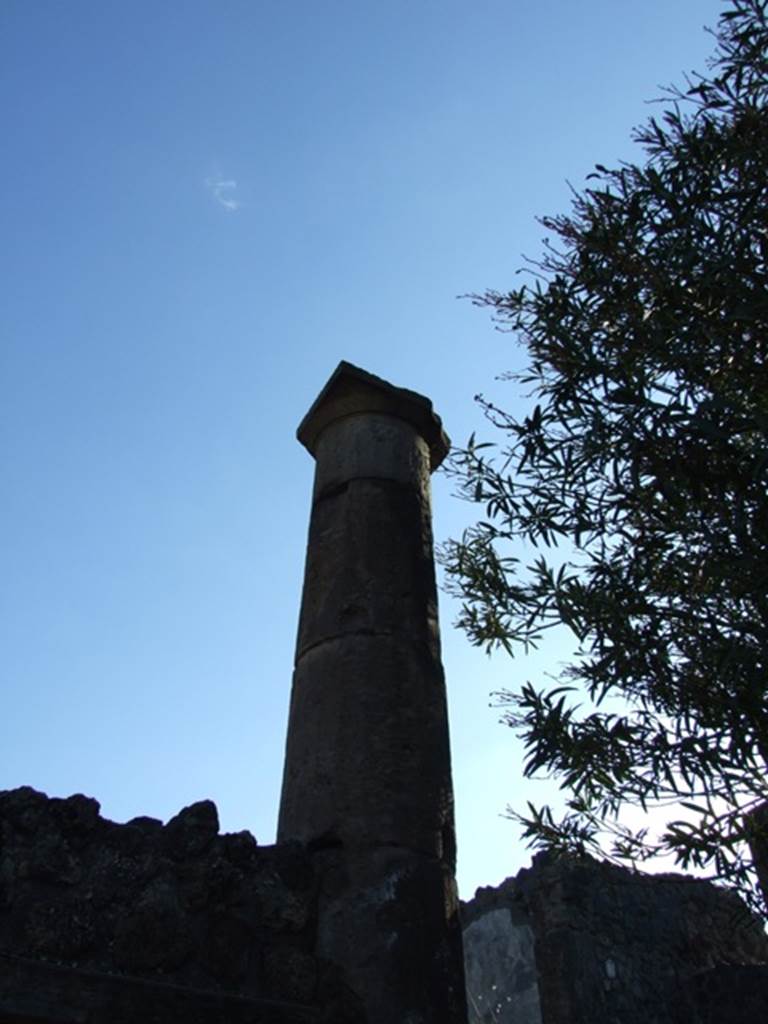 VII.4.31 Pompeii. March 2009. Column of North Peristyle.