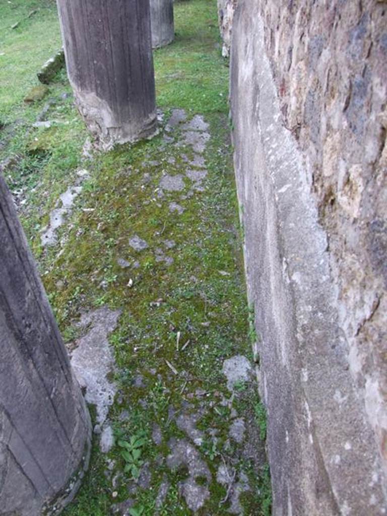 VII.4.31 Pompeii. March 2009. Looking south along West Portico. The rooms 39 to 44 were built into the West Portico at some time after the Peristyle was built. This only left a small corridor between the walls of the rooms and the columns, under the Portico.