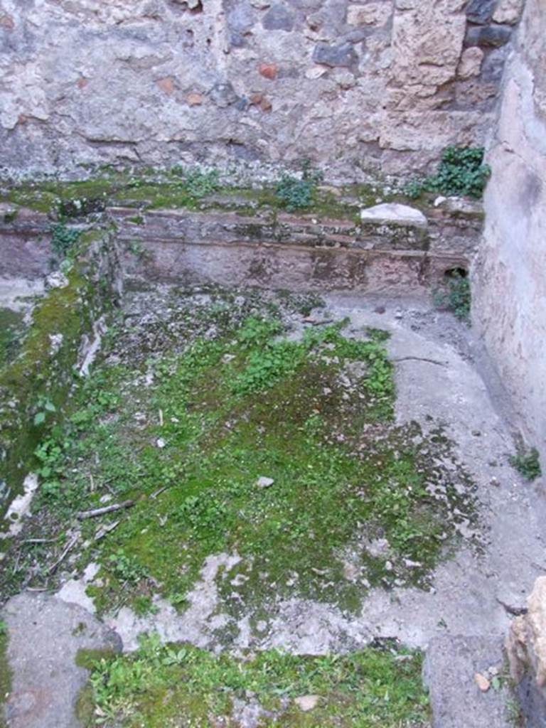 VII.4.31 Pompeii. March 2009. Room 43. Looking west. Floor.