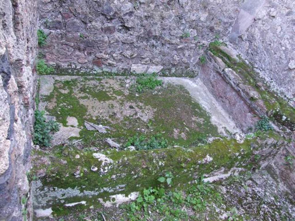 VII.4.31 Pompeii. March 2009. Room 43. Large plaster lined basin or vat, dug into the floor, on the south side of the room.
