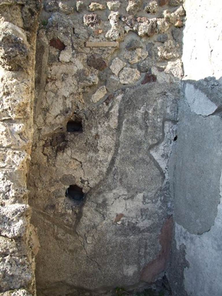 VII.4.31 Pompeii. March 2009. Room 45. North wall.
