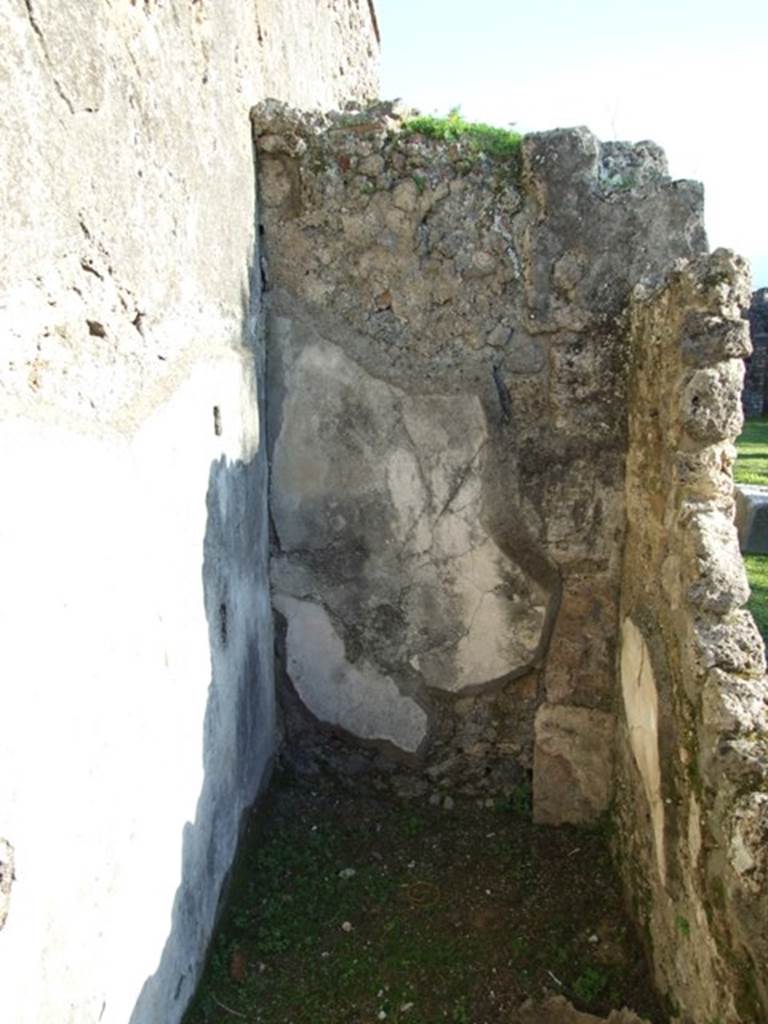 VII.4.31 Pompeii. March 2009. Room 45. South wall.
