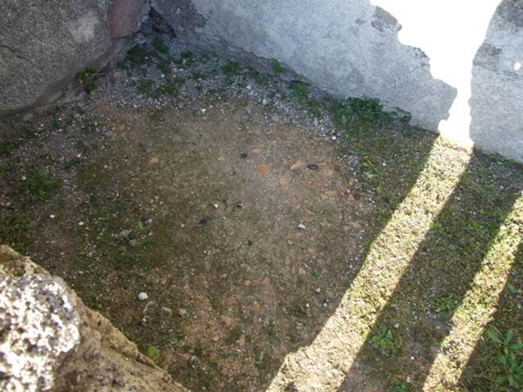VII.4.31 Pompeii. March 2009. Room 45. Floor.