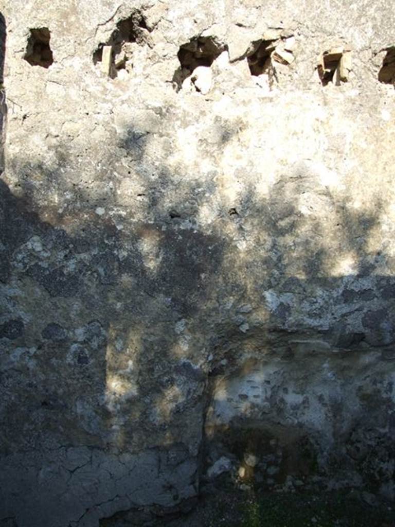 VII.4.31 Pompeii. March 2009. Room 46. East wall.