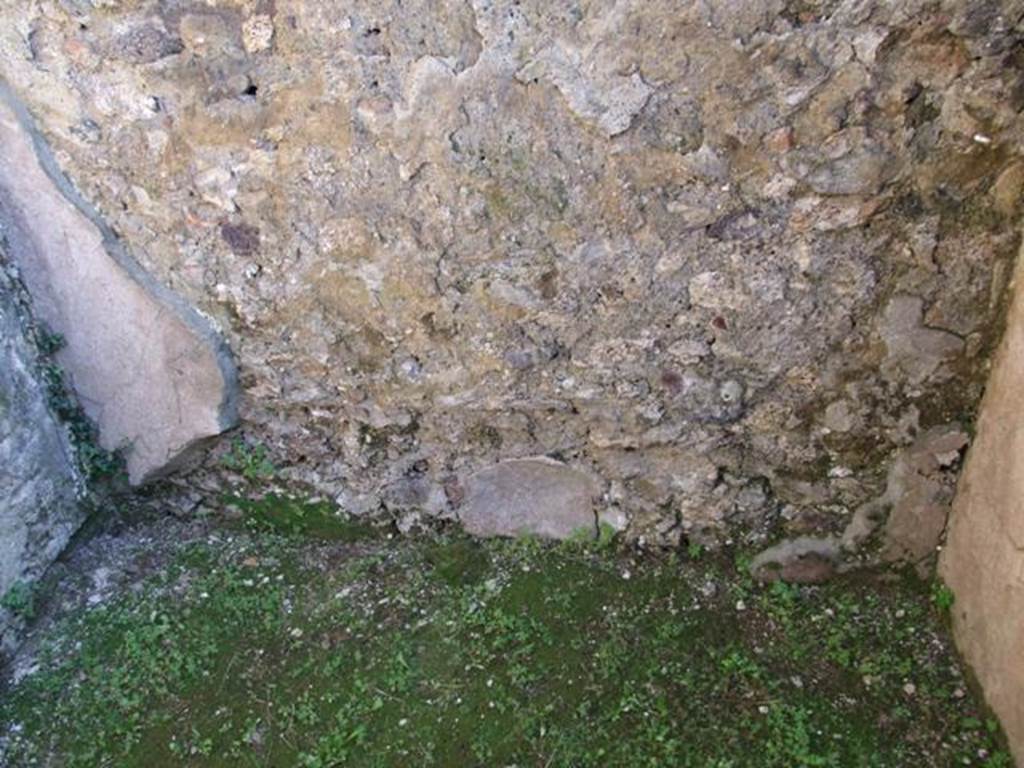 VII.4.31 Pompeii. March 2009. Room 47. South wall.
