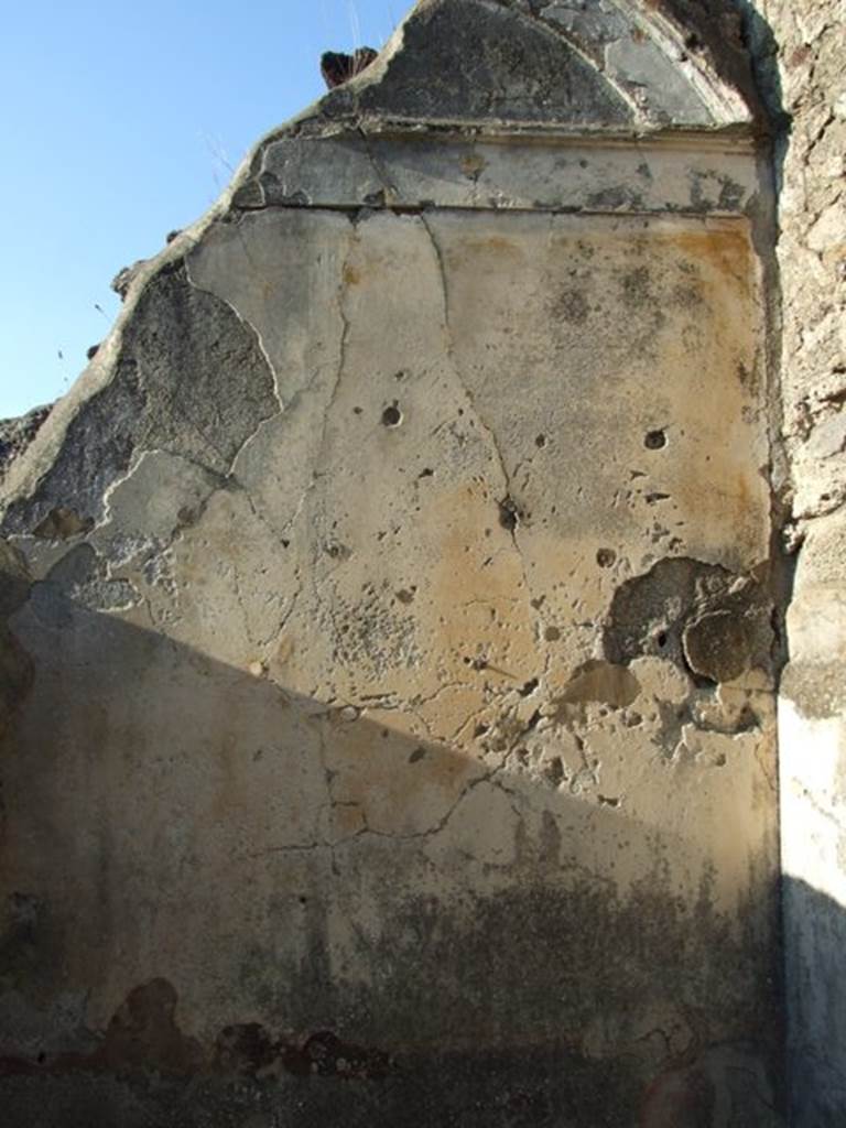 VII.4.31 Pompeii. March 2009. Room 48. North wall.