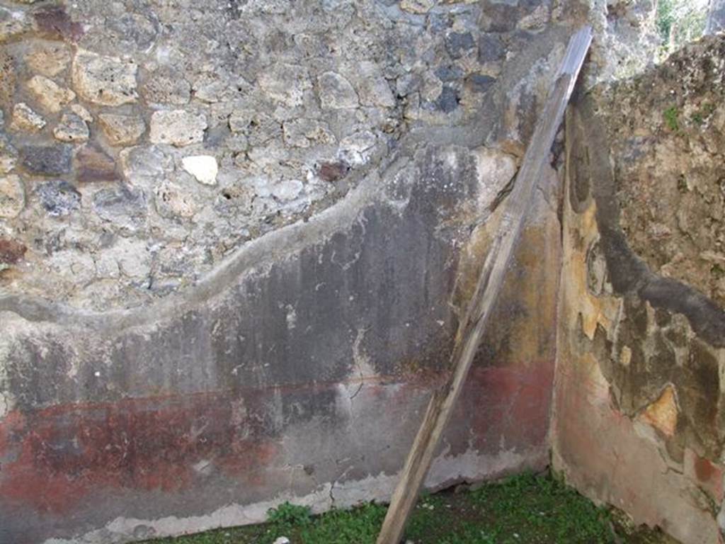 VII.4.31 Pompeii. March 2009. Room 48. South wall.