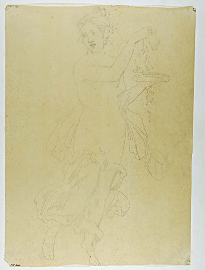 VII.4.31/51 Pompeii. Drawing by Antonio Ala of flying female figure holding a plate and a long garland.
The description gives this as being found on the “right” side of Danae on the upper west wall.
Now in Naples Archaeological Museum. Inventory number ADS 605.
Photo © ICCD. http://www.catalogo.beniculturali.it
Utilizzabili alle condizioni della licenza Attribuzione - Non commerciale - Condividi allo stesso modo 2.5 Italia (CC BY-NC-SA 2.5 IT)