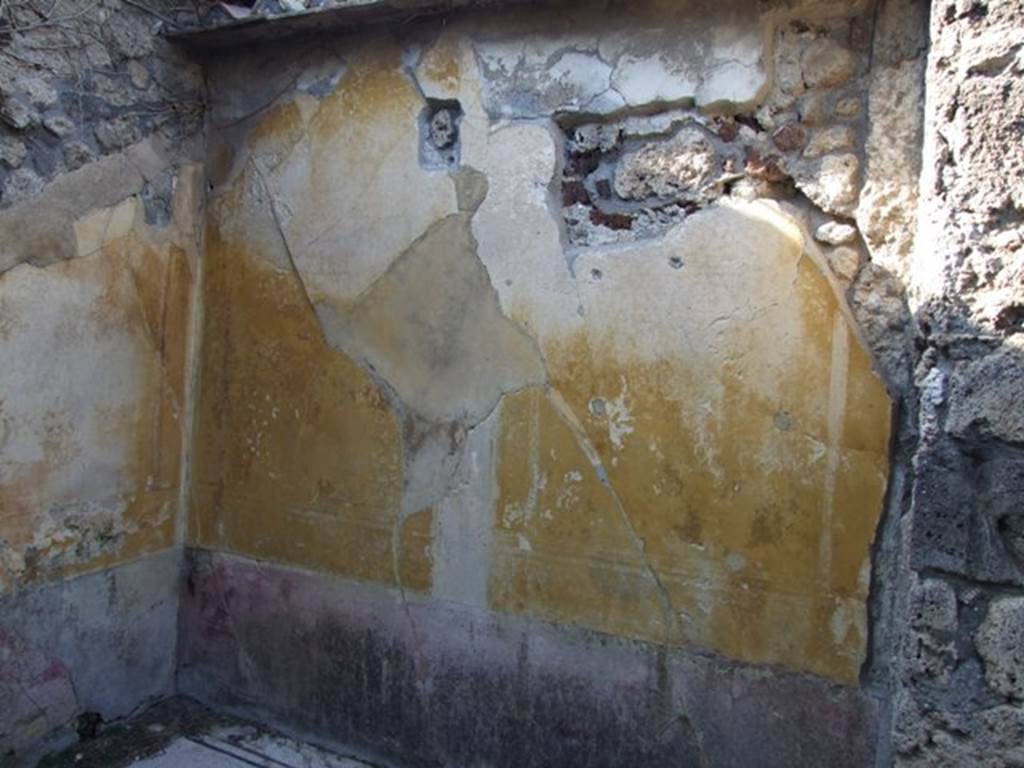 VII.4.31 Pompeii. March 2009. Room 15. North wall.