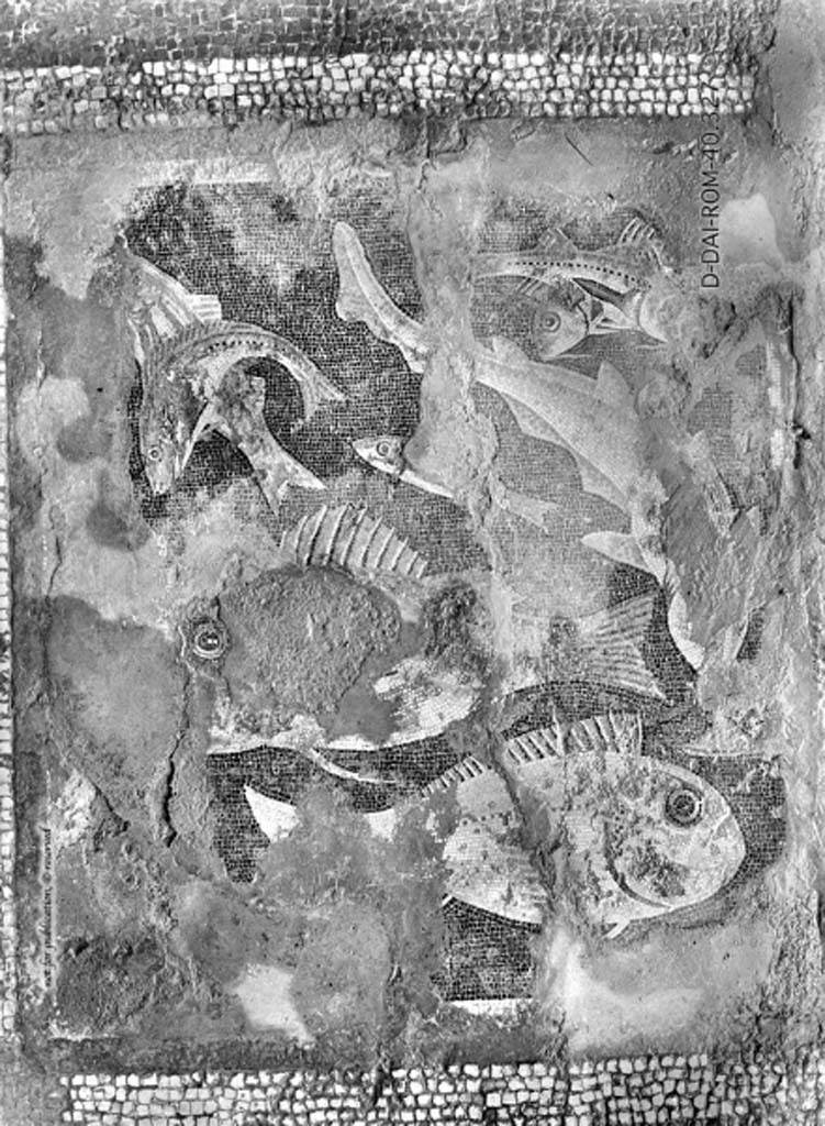 VII.4.31/51 Pompeii. c.1930. Room 18, central emblema of exedra.
DAIR 40.327. Photo © Deutsches Archäologisches Institut, Abteilung Rom, Arkiv.
See Pernice, E. 1938.
Pavimente und Figürliche Mosaiken: Die Hellenistische Kunst in Pompeji, Band VI. Berlin: de Gruyter, (described as from exedra 22, see tav. 54.2, above.)