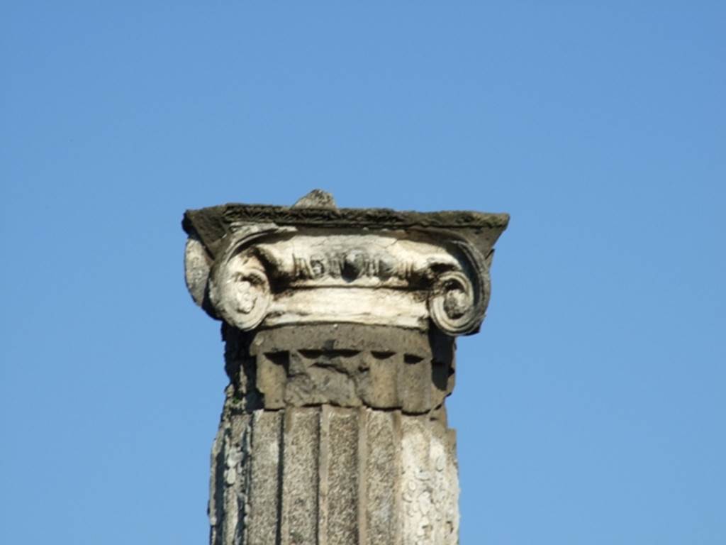 VII.4.31 Pompeii. March 2009. Detail of column in Middle Peristyle.