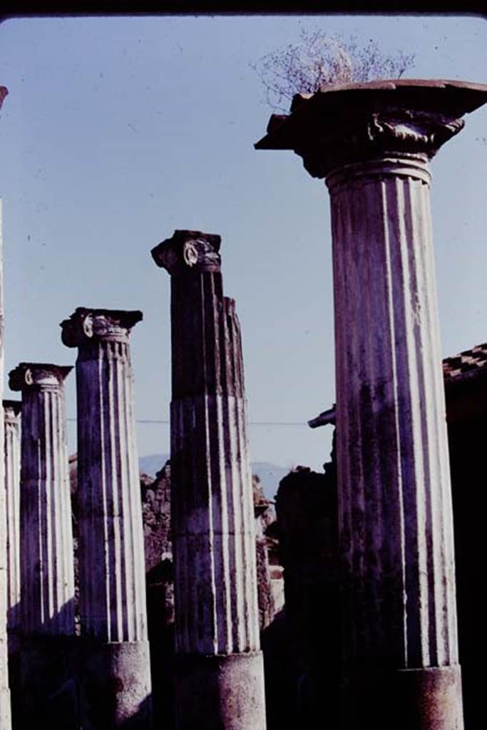 VII.4.31/51 Pompeii, 1978. Columns in the middle peristyle. Photo by Stanley A. Jashemski.
Source: The Wilhelmina and Stanley A. Jashemski archive in the University of Maryland Library, Special Collections (See collection page) and made available under the Creative Commons Attribution-Non Commercial License v.4. See Licence and use details. J78f0085