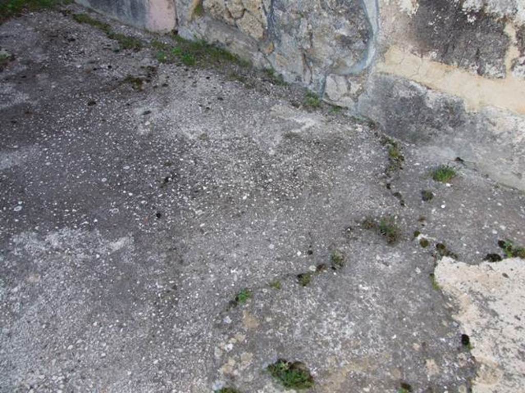 VII.4.31 Pompeii. March 2009. Room 24. Floor.