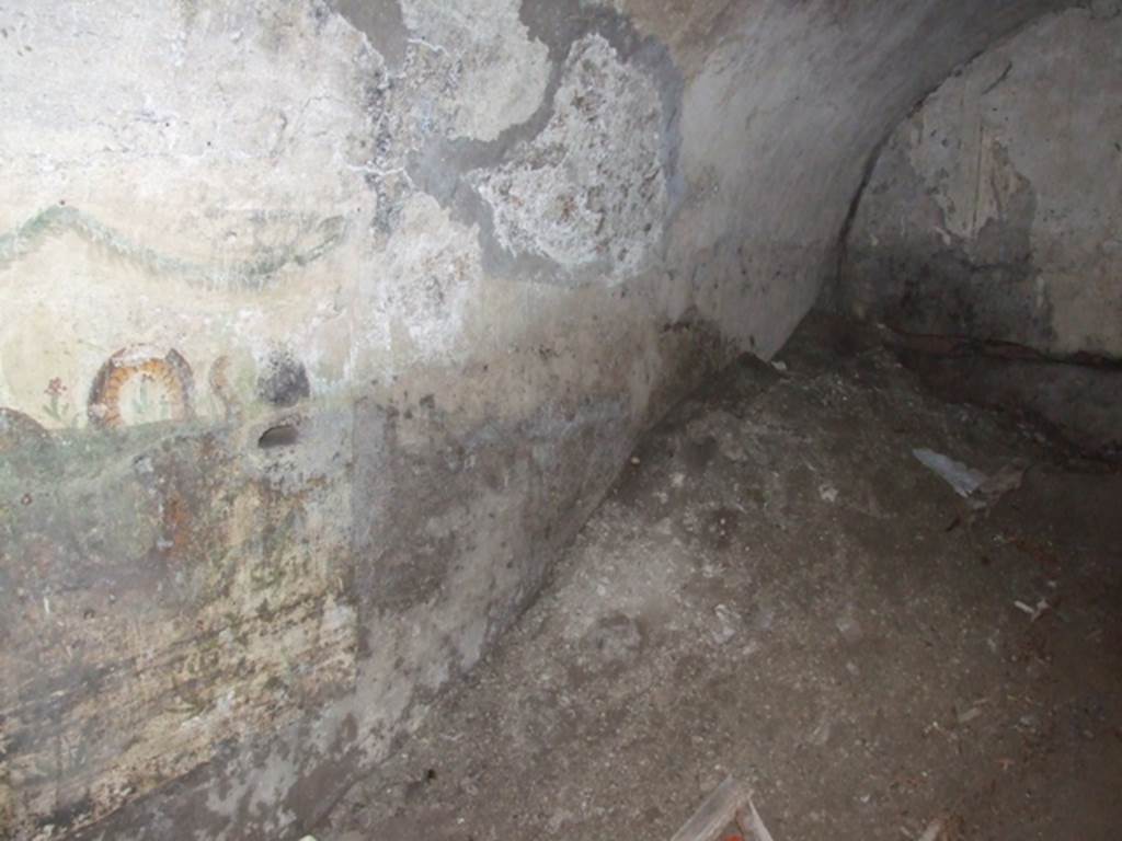 VII.4.31 Pompeii. March 2009. Room 27. Cellar. South east corner.