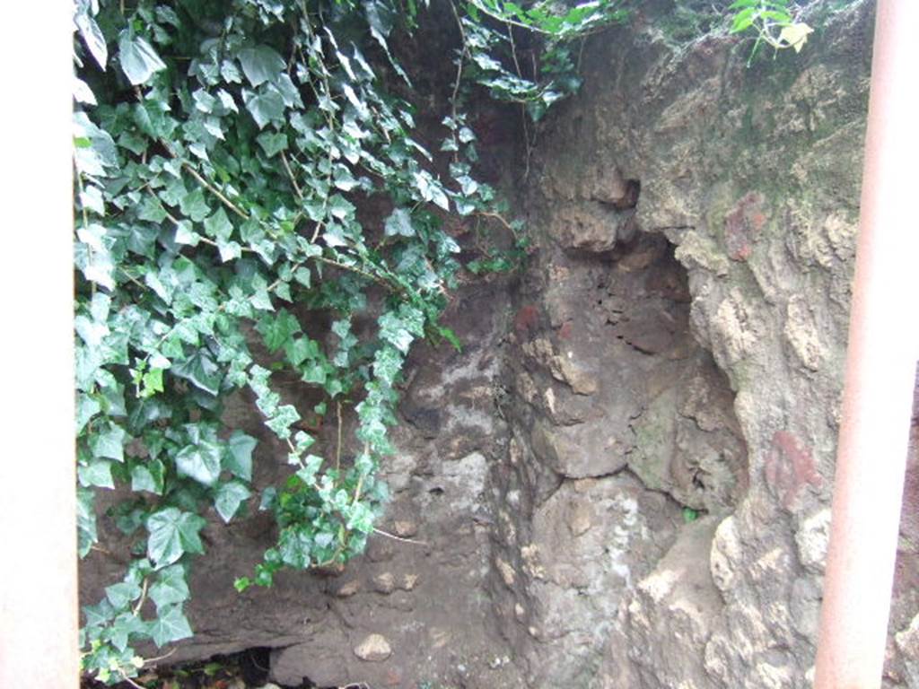 VII.4.44 Pompeii. December 2005. North wall.